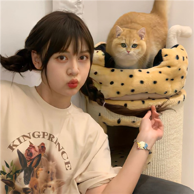 东阳伴游女生星晓莉的资料